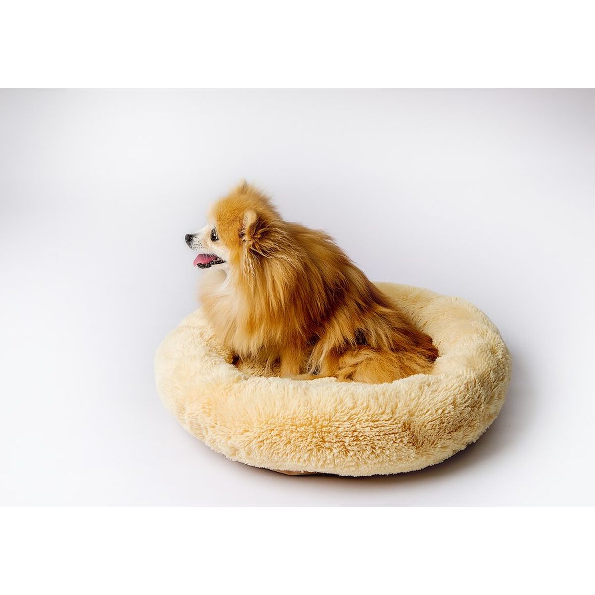 Hundeseng GO GIFT M 50 x 10 x 57 cm